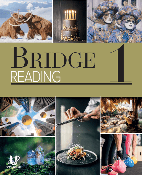 BRIDGE 1 READING