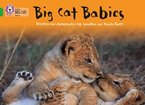 COLLINS BIG CAT BIG CAT BABIES GREEN