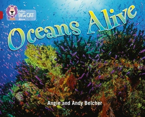 COLLINS BIG CAT OCEANS ALIVE