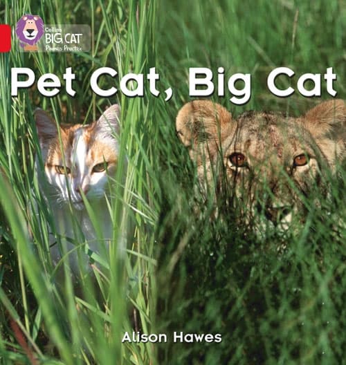 COLLINS BIG CAT PET CAT, BIG CAT