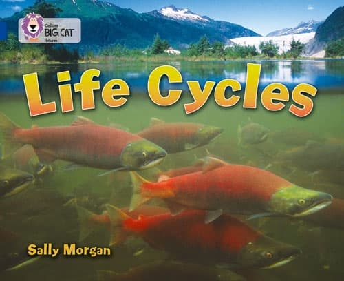 COLLINS BIG CAT  LIFE CYCLES BAND 16 SPPHIRE