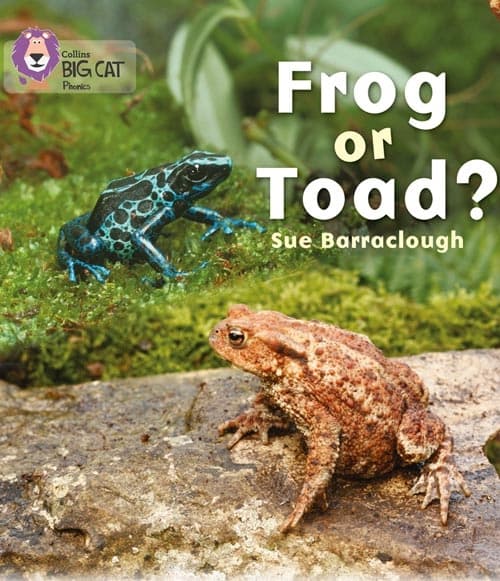 COLLINS BIG CAT FROG OR TOAD?