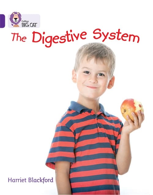 COLLINS BIG CAT THE DIGESTIVE SYSTEM