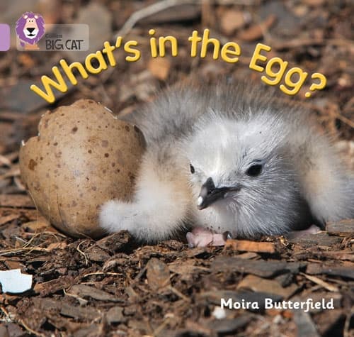 COLLINS BIG CAT WHATS IN THE EGG? LILAC