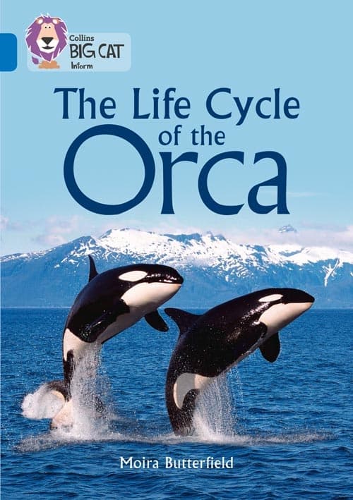 COLLINS BIG CAT  LIFE CYCLES OF THE ORCA SAPPHIRE