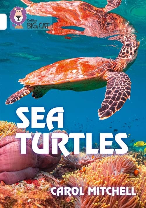 COLLINS BIG  CAT SEA TURTLES