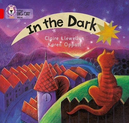 COLLINS BIG CAT IN THE DARK