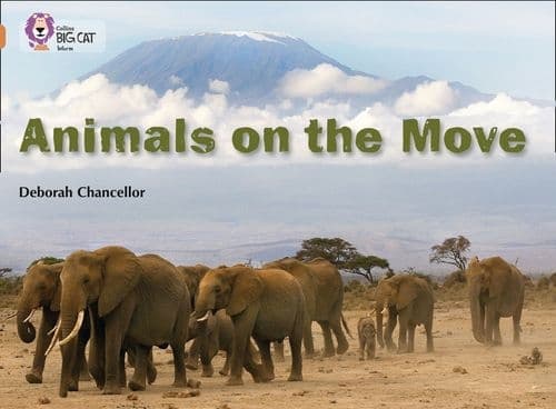 BIG CAT-COPPER BAND 12-ANIMALS ON THE MOVE