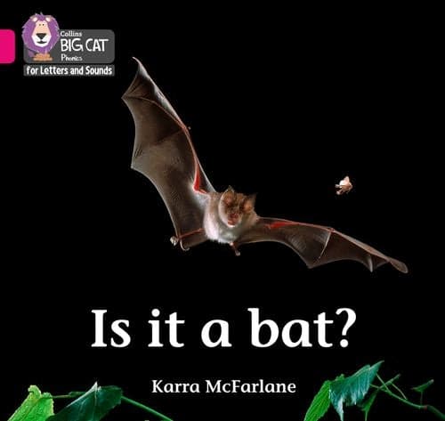 COLLINS BIG CAT IS IT A BAT?