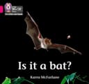 COLLINS BIG CAT IS IT A BAT?