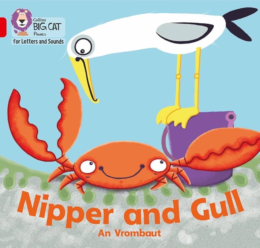 BIG CAT LITTLE WANDLE PHASE 3  NIPPER AND GULL